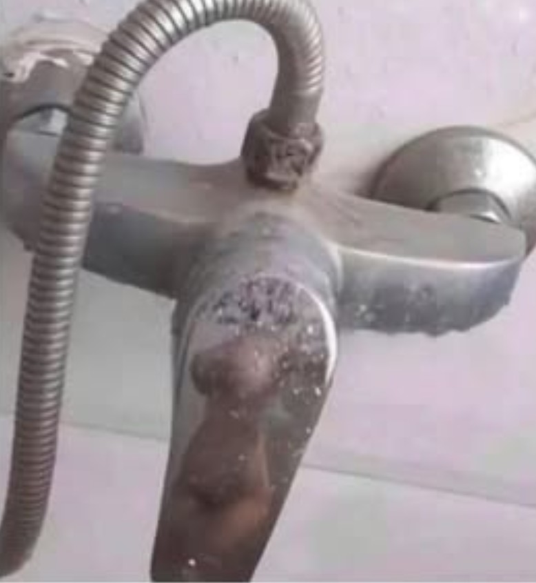 Stephanie Horror 🖤 tweet media