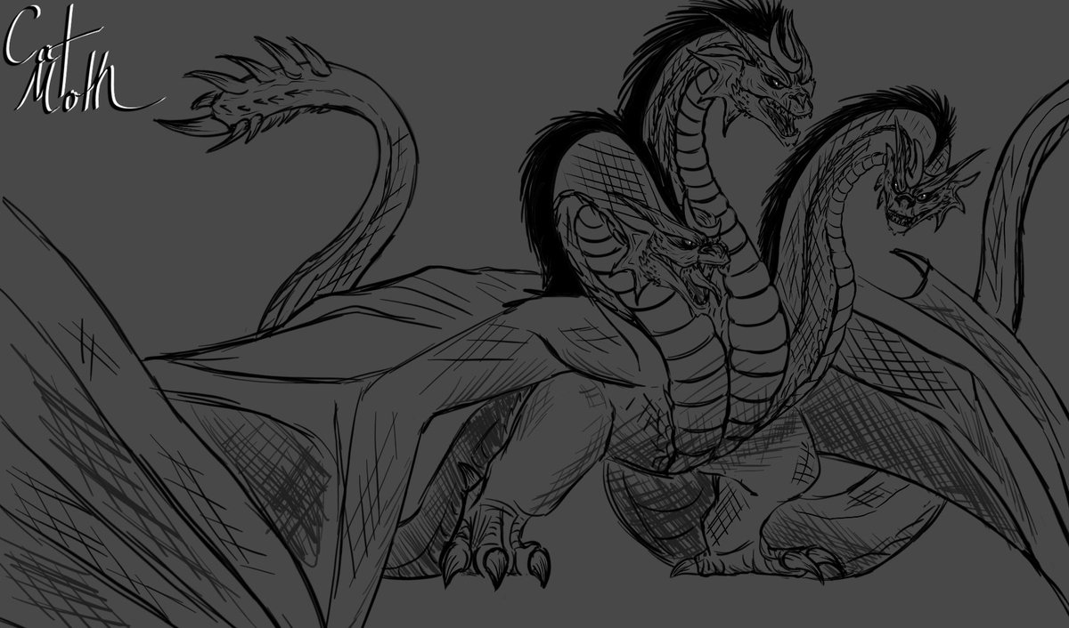 Cat Moth tweet media