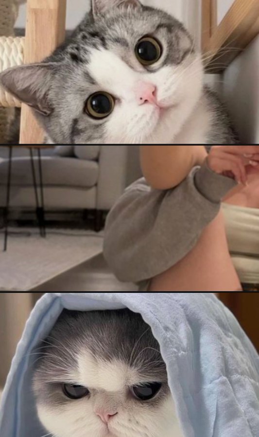 suPRstar✰ tweet media