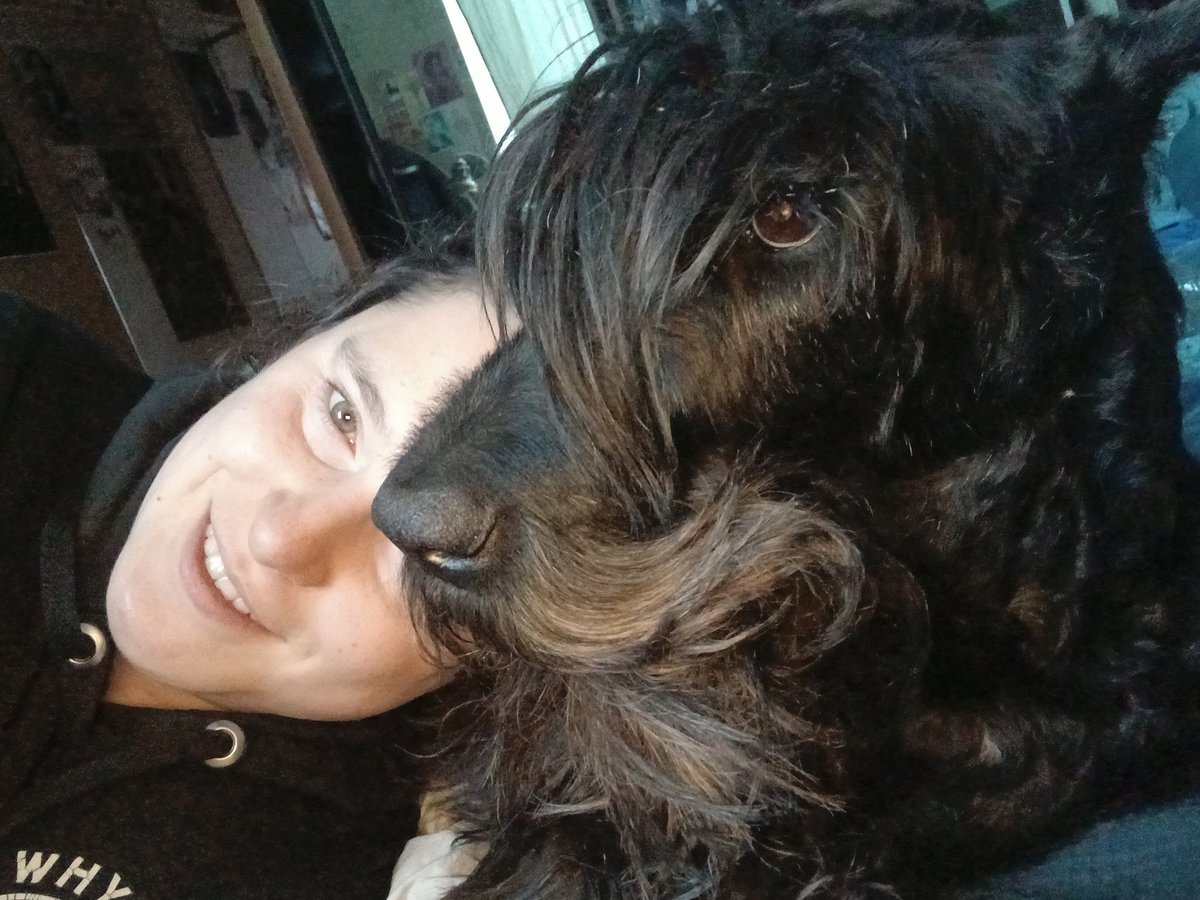 Бог не выдаст, свинья не Гест tweet media