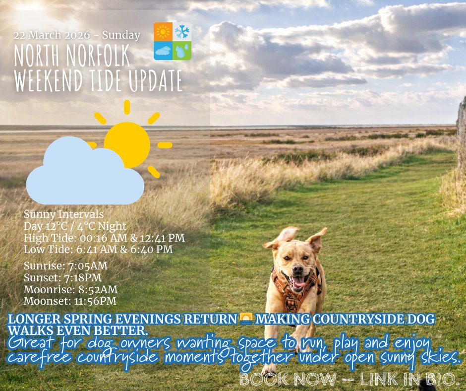 mYminiBreak tweet media