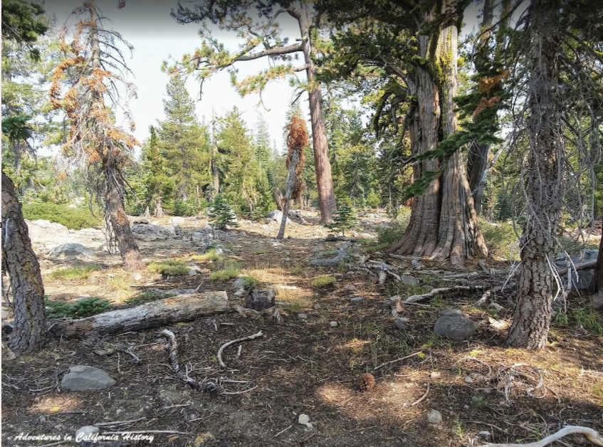 Where is the trail? Sanding on the California Emigrant Trail, near ...