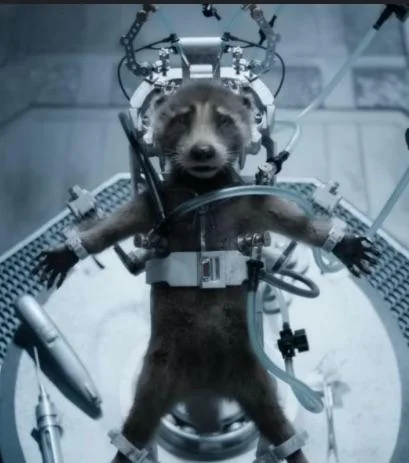 Steven-God of cuys tweet media