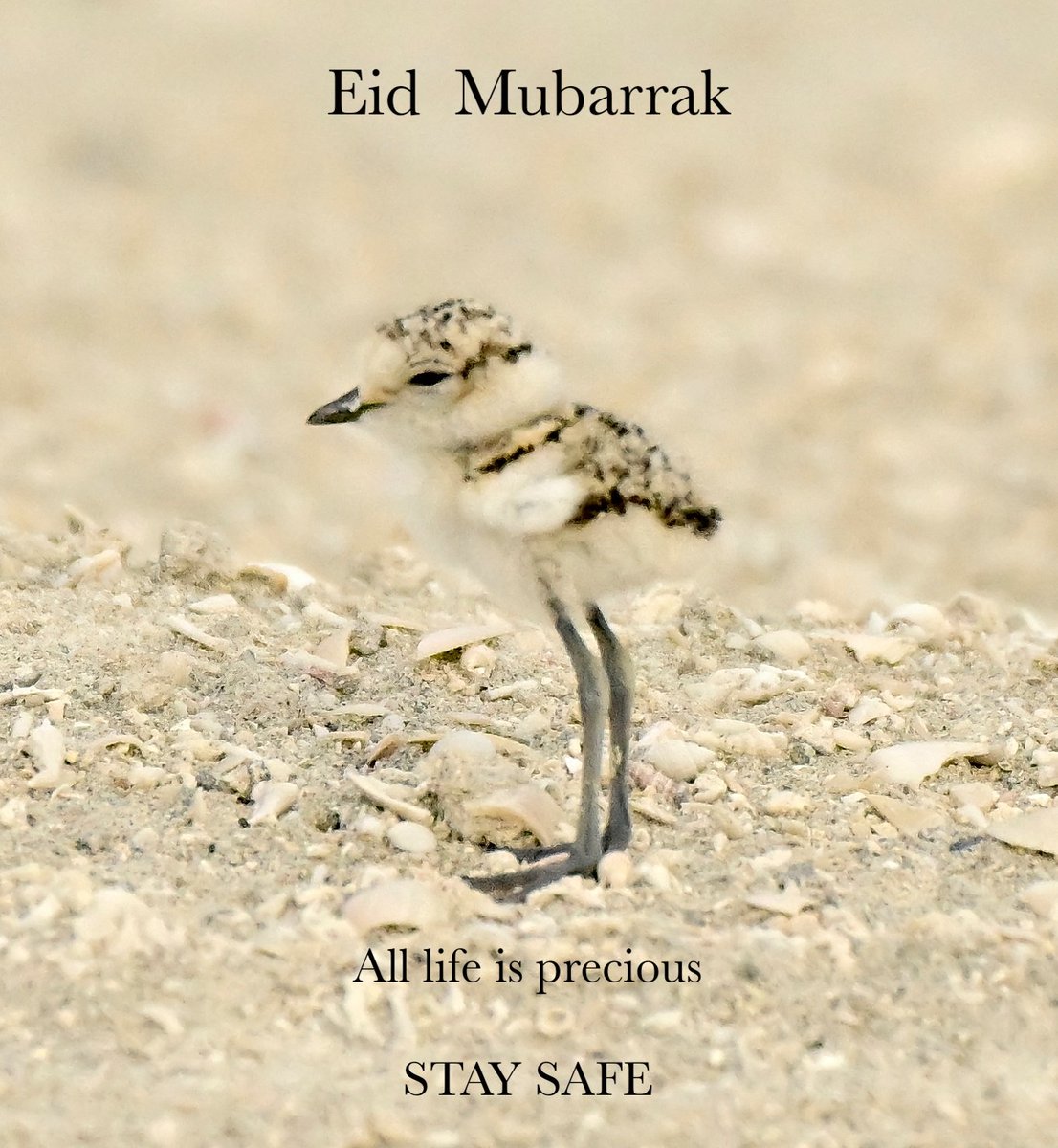 Howard King tweet media