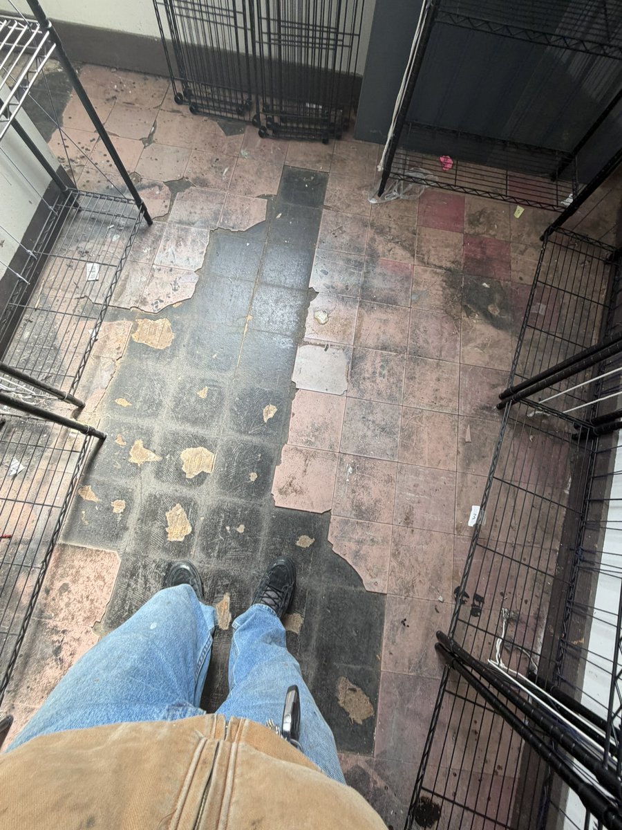 ▼ Kiel James Patrick tweet media