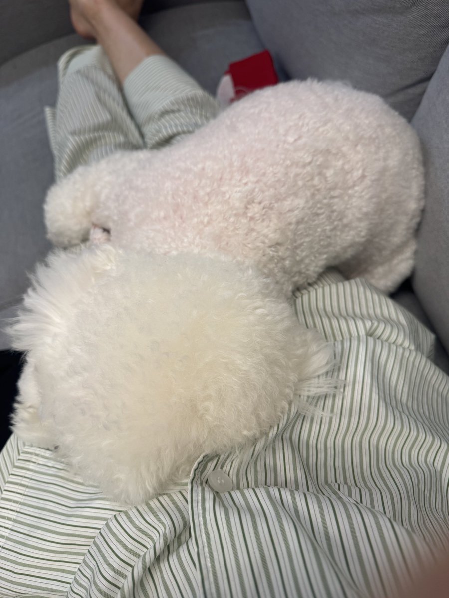 twozoon2's tweet photo. @ixxxhme 호두 지금 액체야 https://t.co/FGvMC17uFH