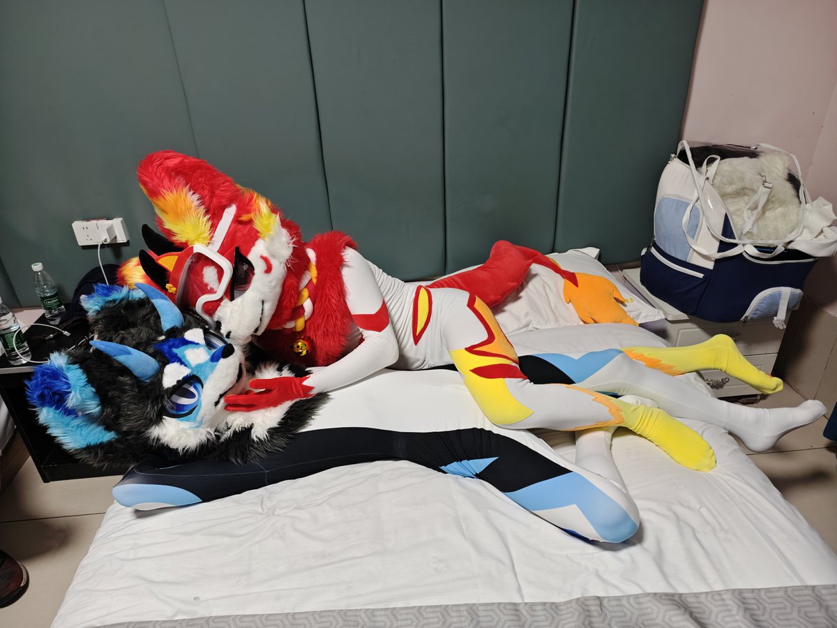 다르 레그보트 tweet media