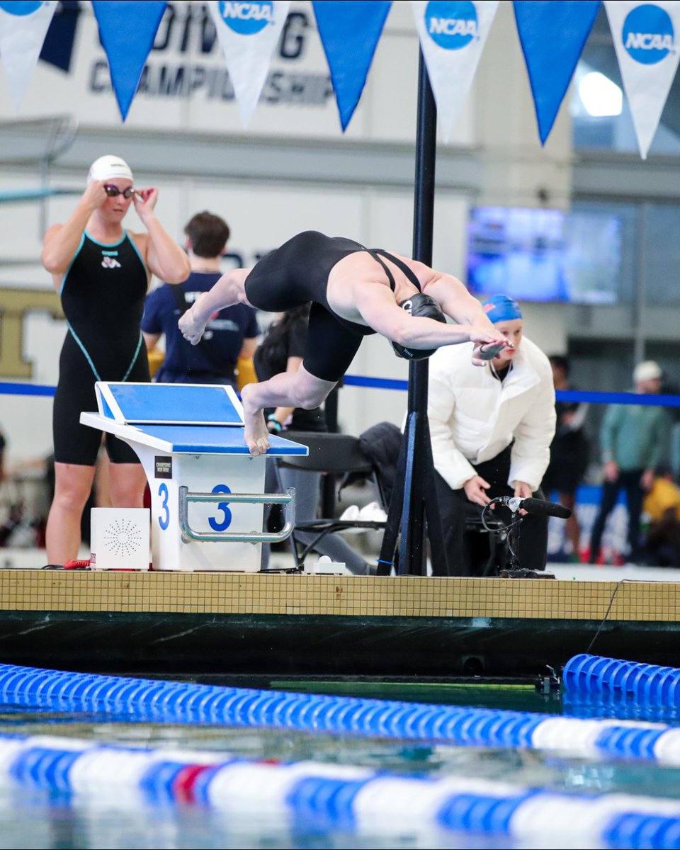 Cincinnati Swim-Dive tweet media