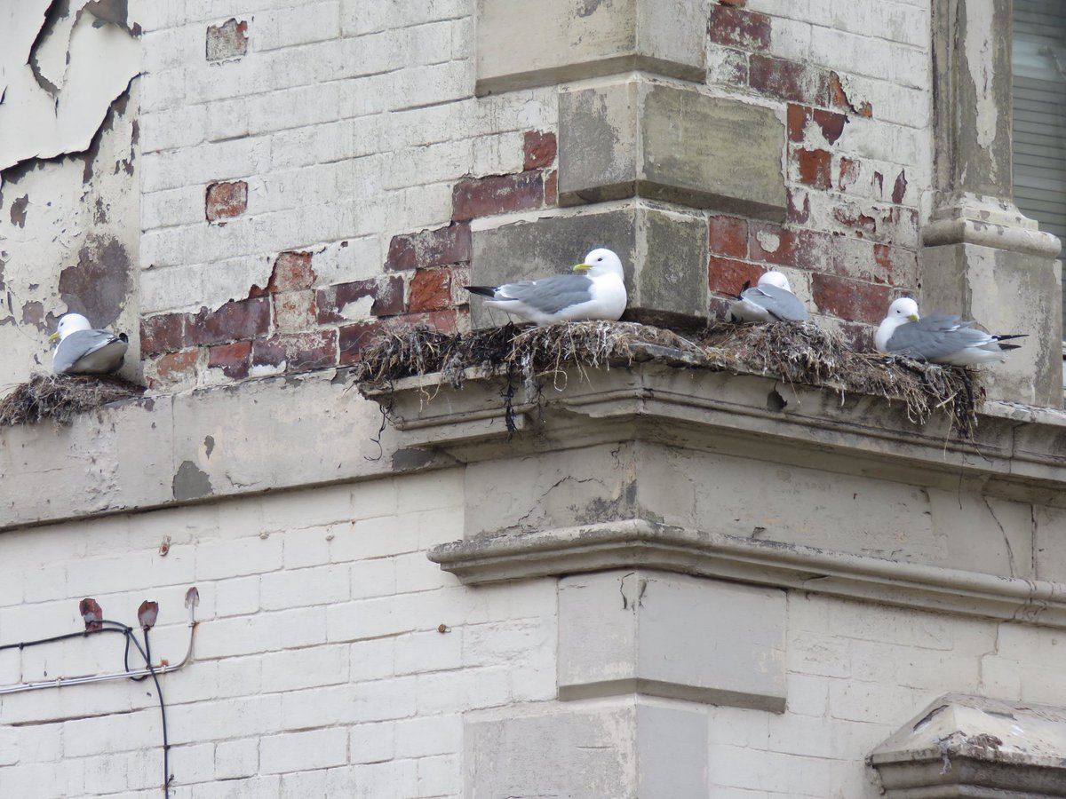 Peter Garbutt tweet media