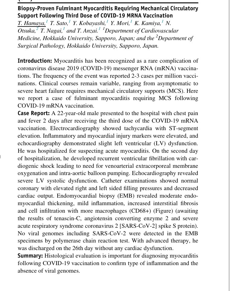 They Keep Saying Its Rare tweet media