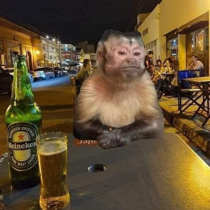 vMarc 🥷 tweet media