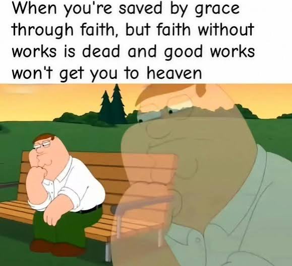 Koya 🥩🌞📚 tweet media