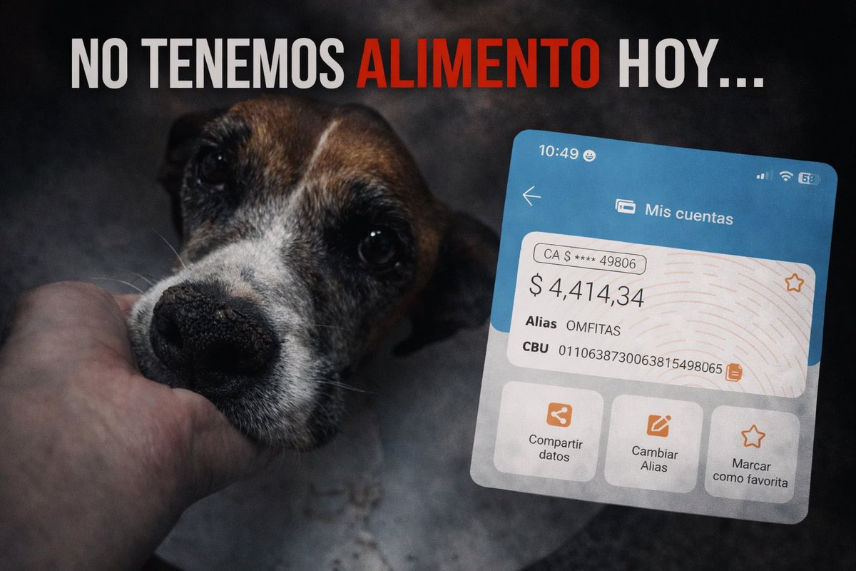 Organización Mi Fiel Amigo tweet media