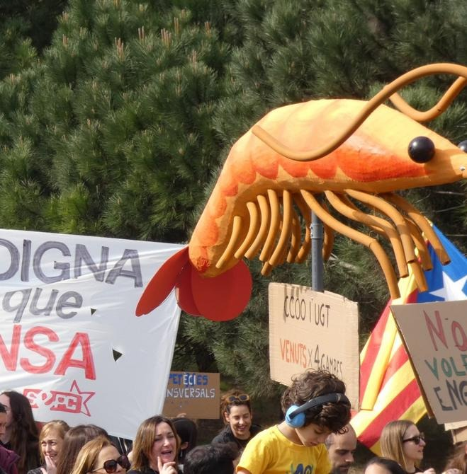 Oriol tweet media
