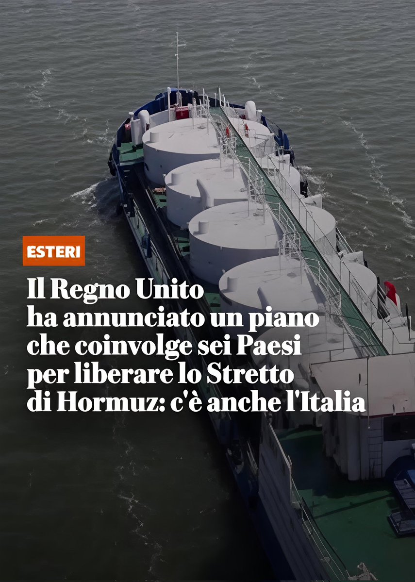 Sabrina F. tweet media