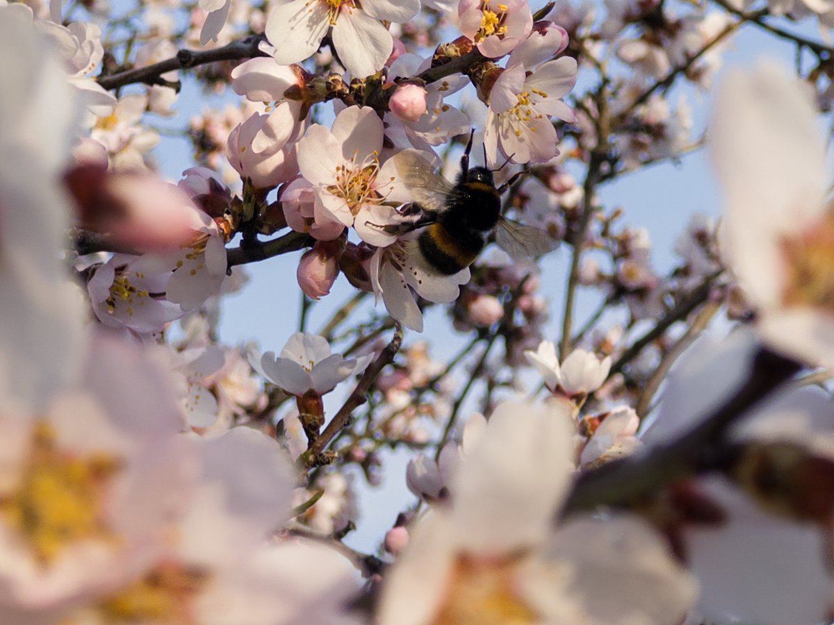 ara ara 🔸 あらあら tweet media