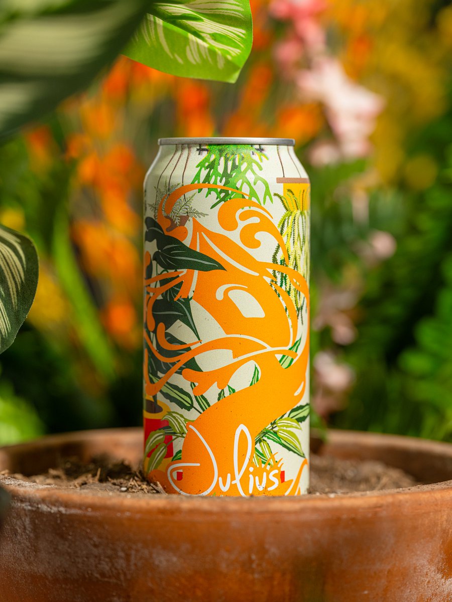 Tree House Brewing Co.🍺 tweet media