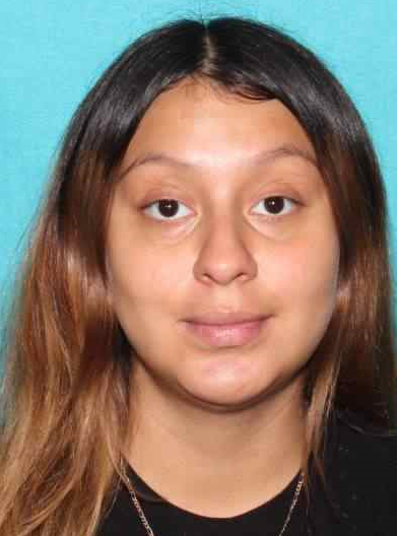 Houston Police tweet media