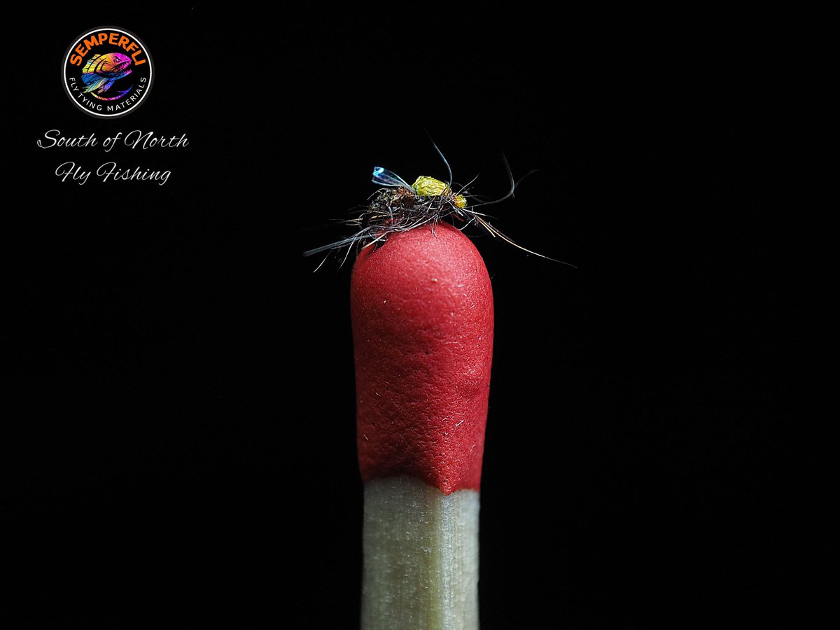 Semperfli Fly Tying tweet media