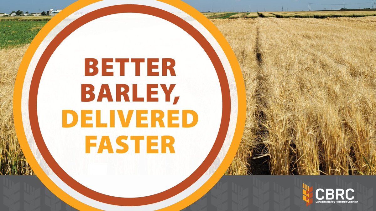 Canadian Barley Research Coalition tweet media