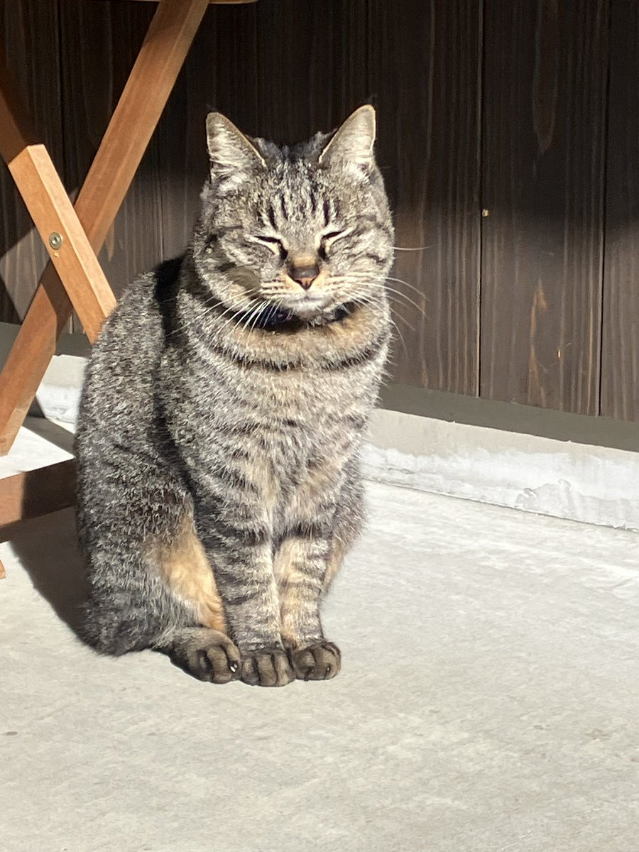 Daisuke Aoki tweet media