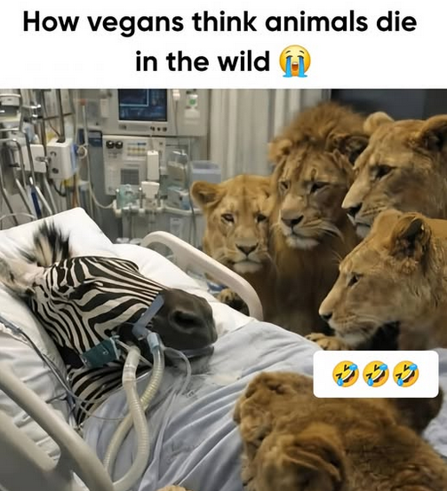 Romodanowski tweet media