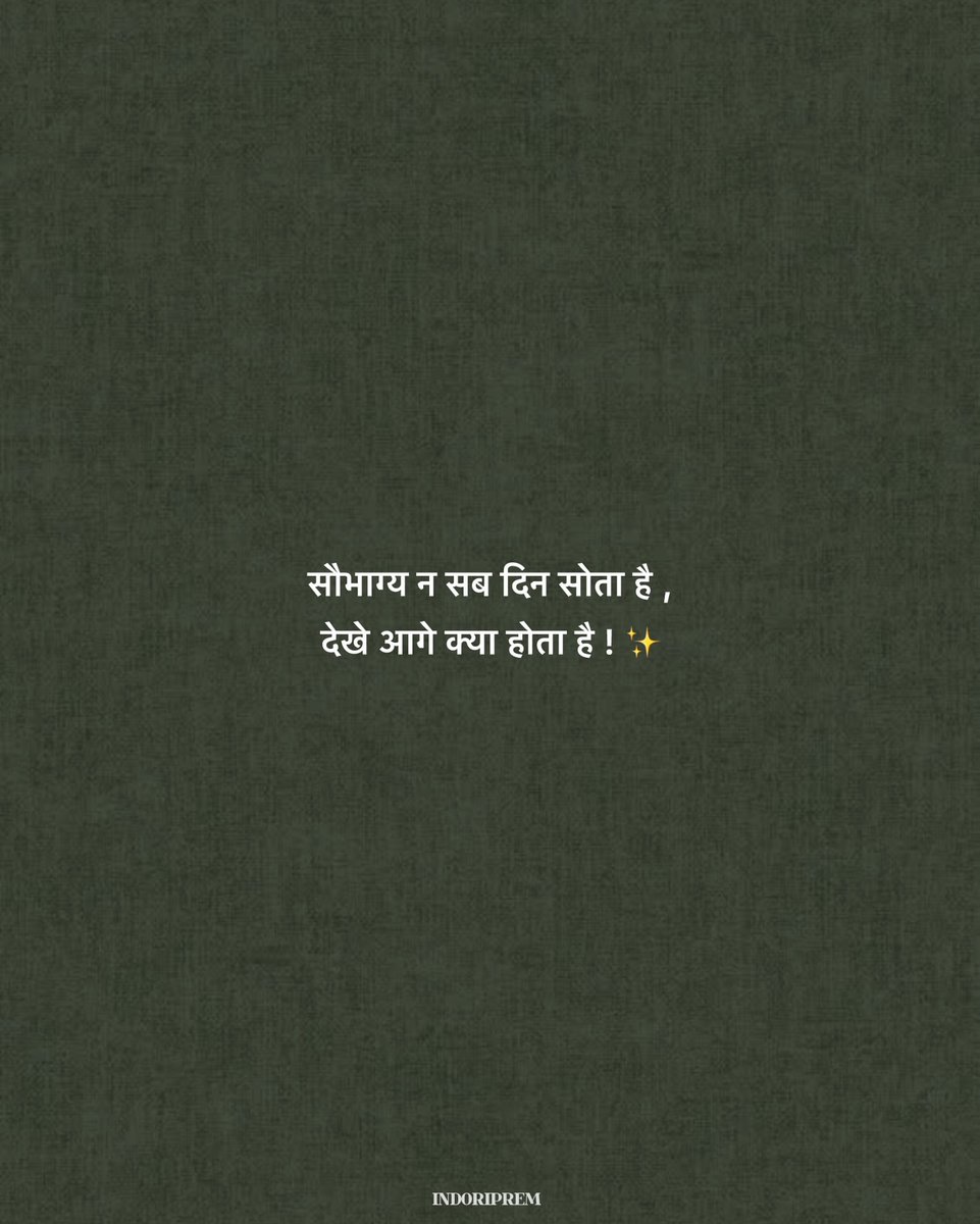 कागज🦋 tweet media