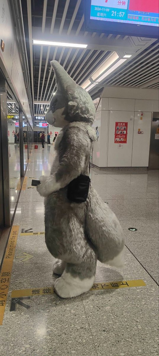 雨衣丿羽翼 tweet media