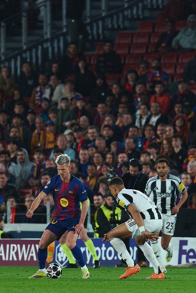 Dani Olmo tweet media