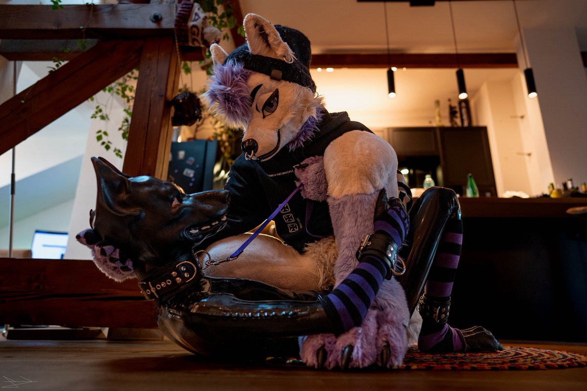 Purple Pawsky tweet media