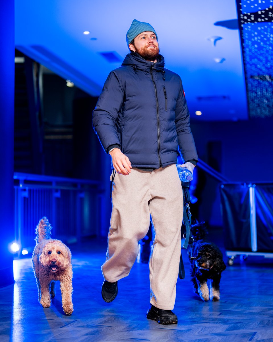 Toronto Maple Leafs tweet media