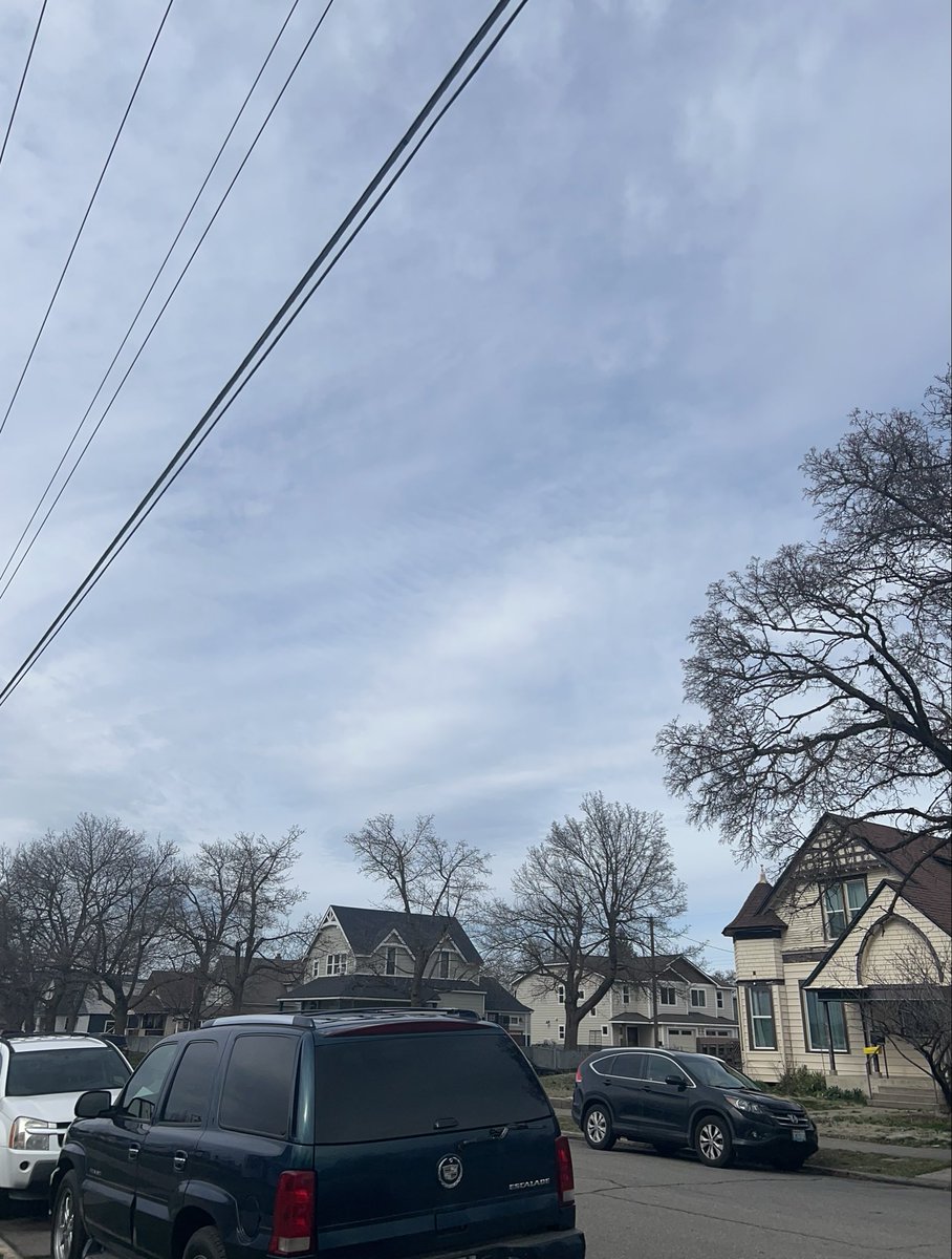 MaryBariAwesome! tweet media