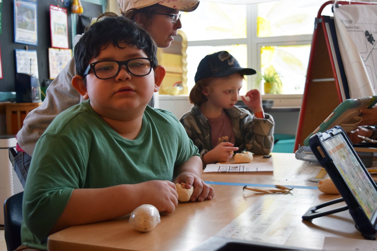 Bedford Central School District tweet media