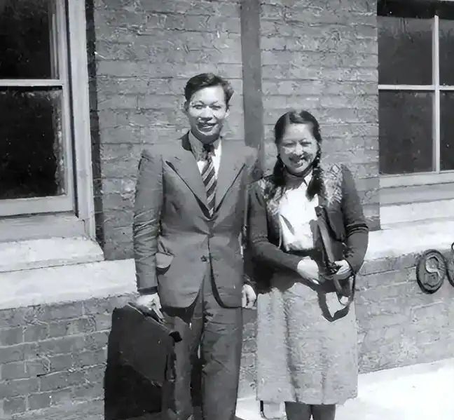 茶先生 tweet media