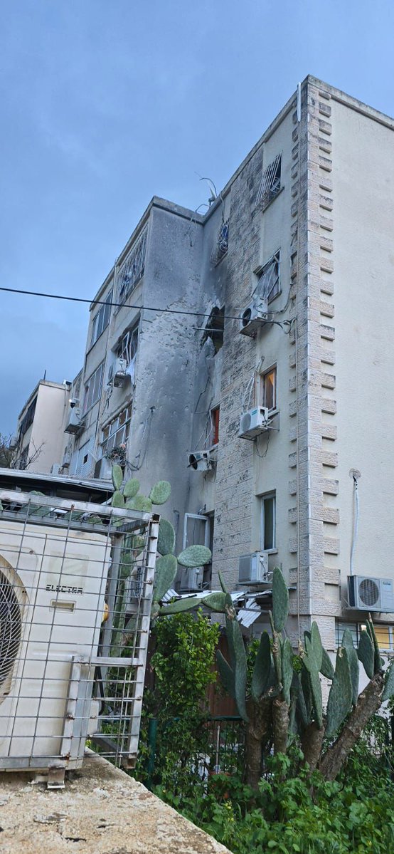 Guy Elster גיא אלסטר tweet media