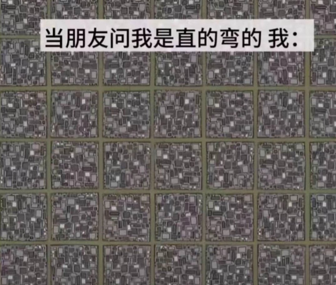 人类是我的兼职 tweet media