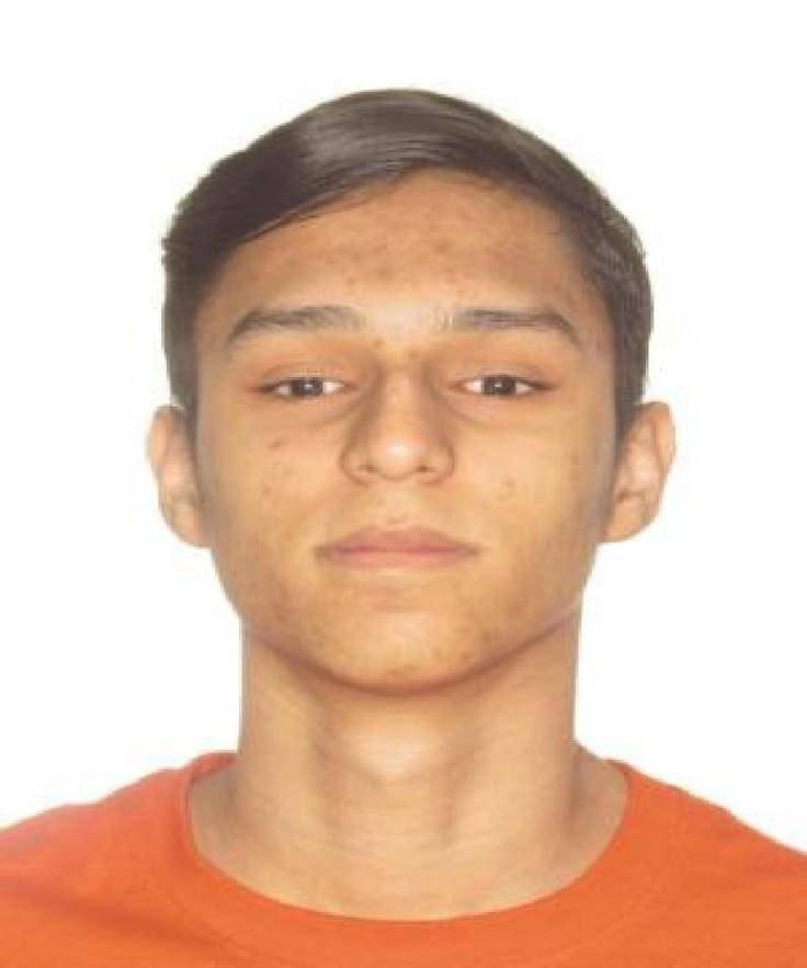 don comédia tweet media