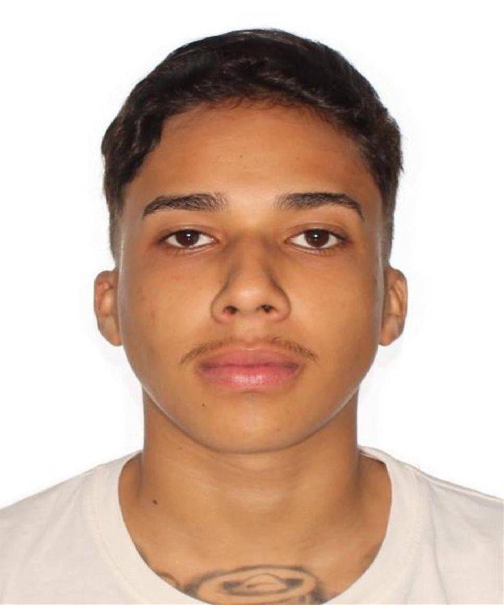 don comédia tweet media