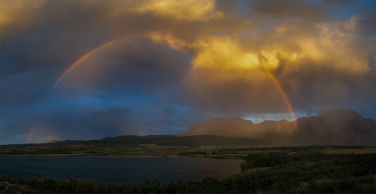 James Andrew tweet media