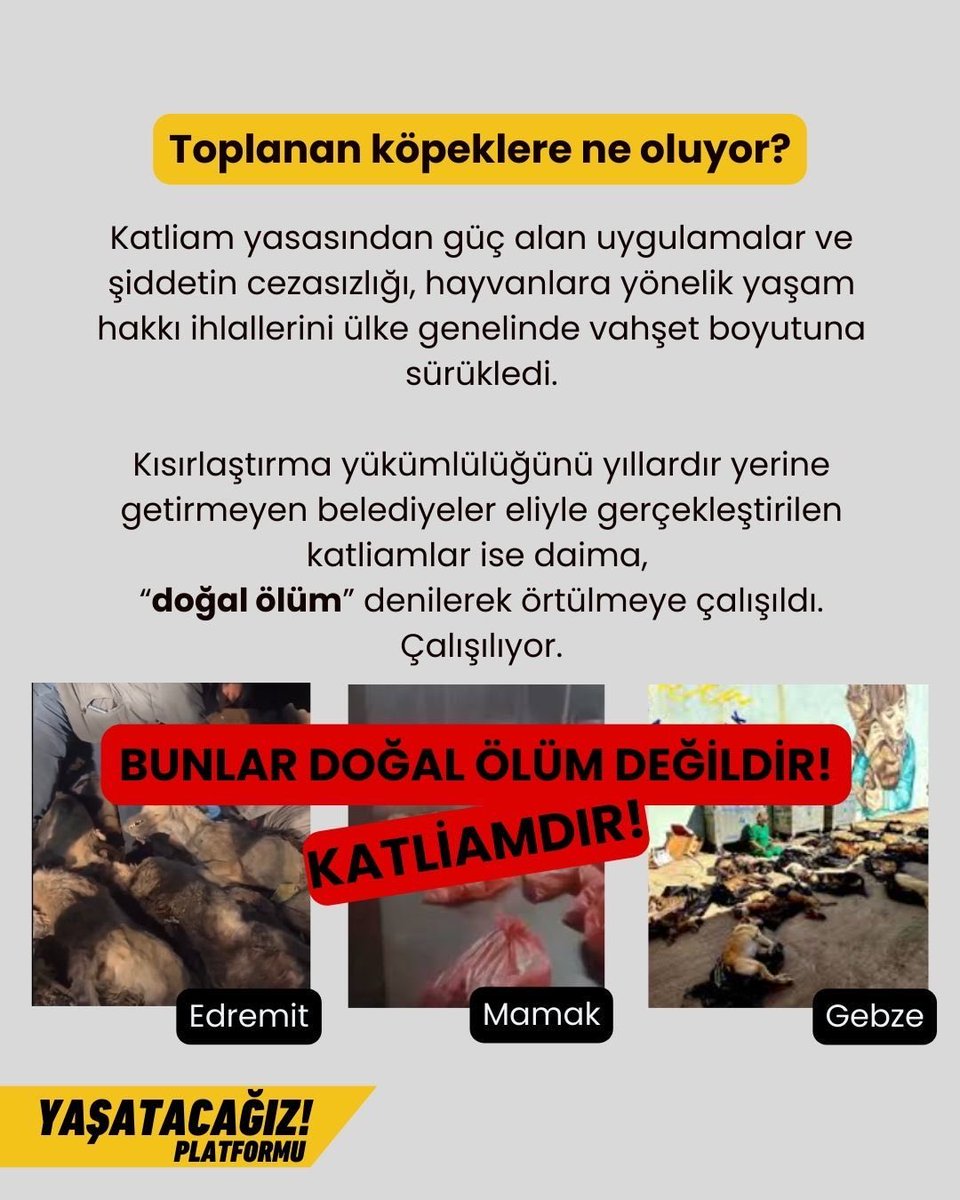 Yaşatacağız Platformu tweet media