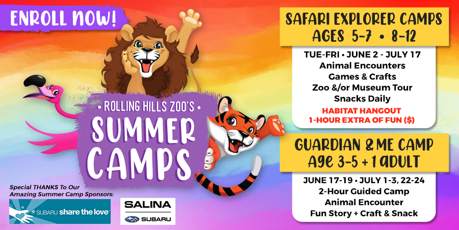 RollingHillsZoo tweet media