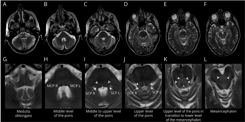 Jacky Ganguly tweet media