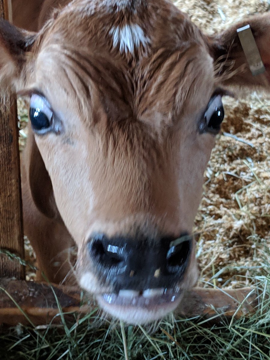 Mama Marie ✌️ tweet media