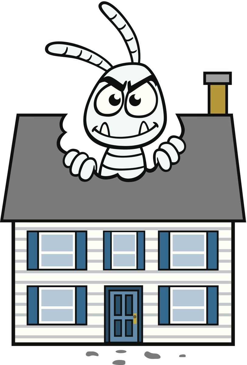 🐜 Termites? Not on our watch!
✅ Free inspections
✅ Eco-friendly XT-2000 Orange Oil Plus™ 🌿
✅ No fumigation needed
✅ Repairs &amp; preventive plans
✅ 2-year warranty

Protect your home the smart way!🏡