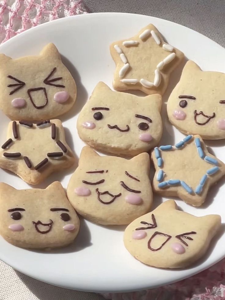 daily cats ♡ tweet media