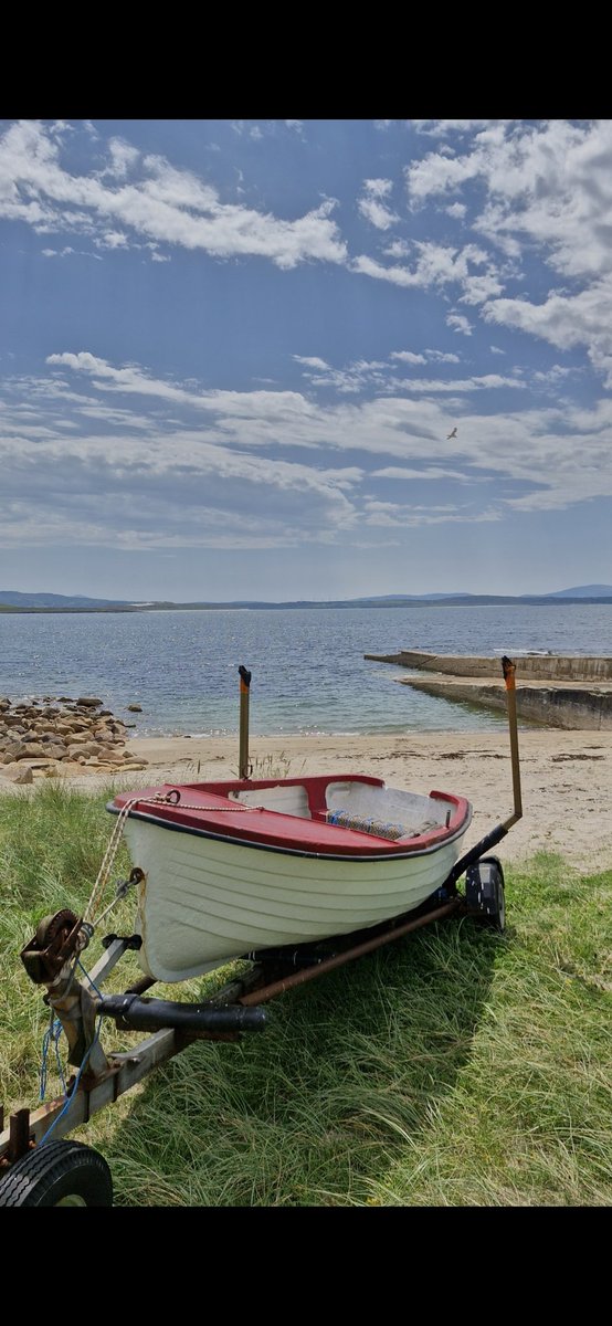 L20 Bootle Bee 🚵🏌️⚽❄️ tweet media