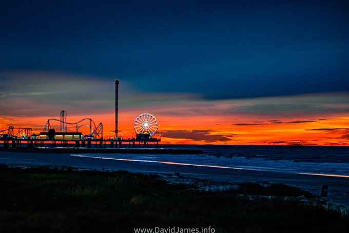 The Salty Dog Galveston tweet media