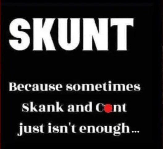 boneheadbarbieslowbertresign tweet media