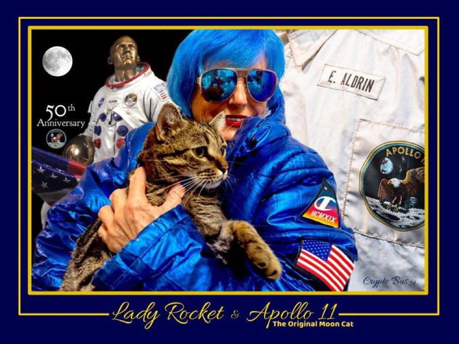 Lady Rocket tweet media