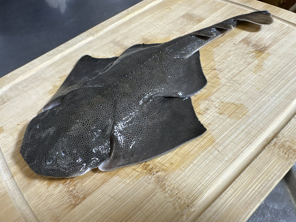 コウメグ🦈 tweet media